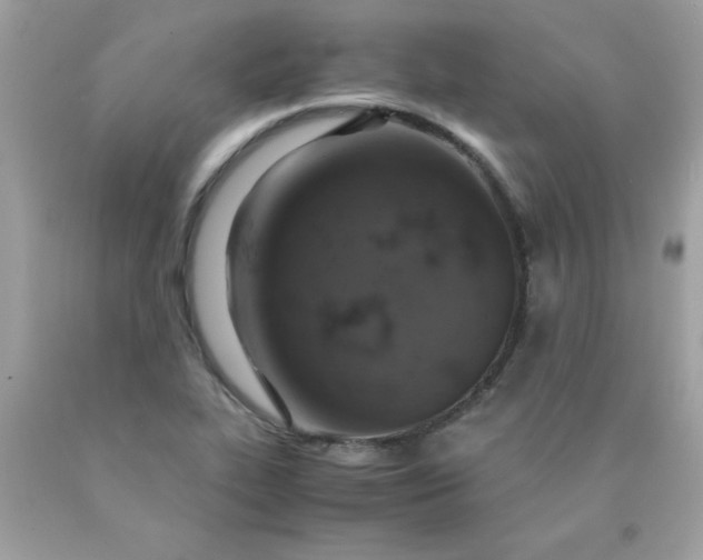 X0000090491319200707272332