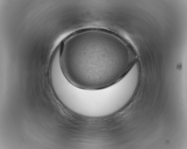 X0000090491320200707272332