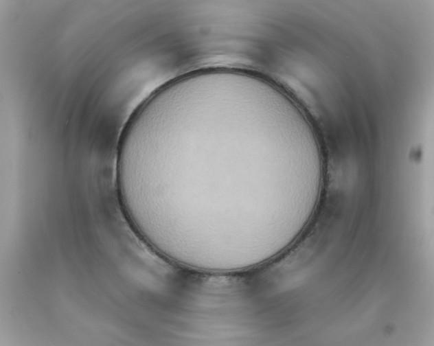 X0000090491322200707272332