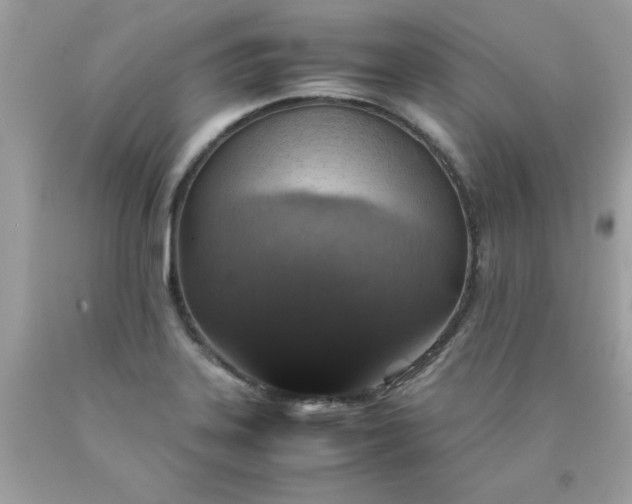 X0000090491323200707272332