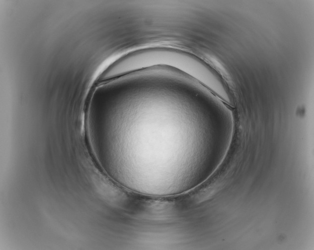 X0000090491324200707272332