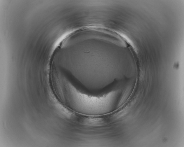 X0000090491325200707272332