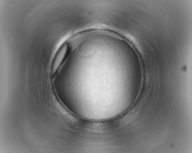 X0000090491326200707272332
