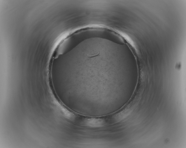 X0000090491327200707272332