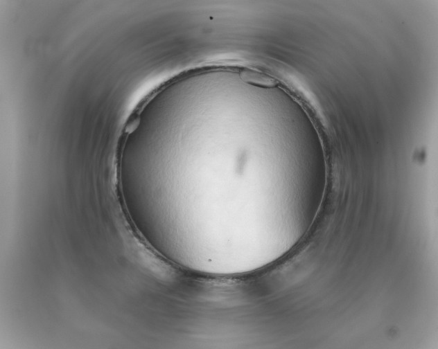 X0000090491328200707272332