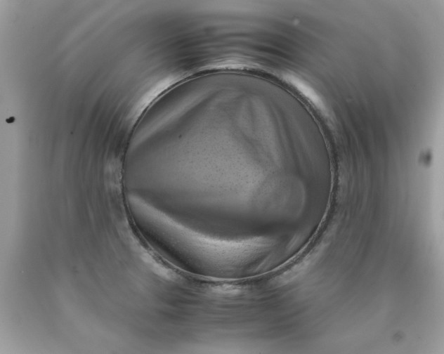 X0000090491329200707272332