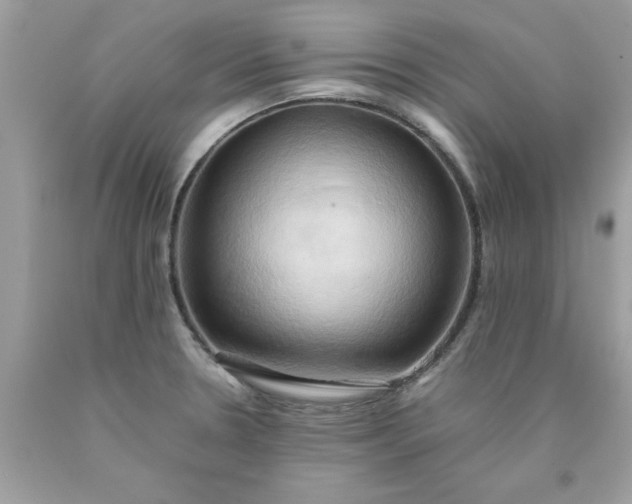 X0000090491330200707272332