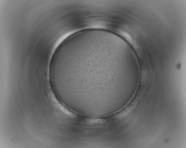 X0000090491331200707272332
