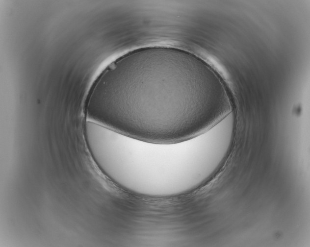 X0000090491332200707272332