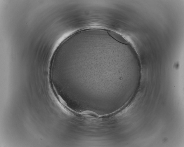 X0000090491333200707272332