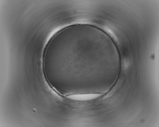 X0000090491334200707272332