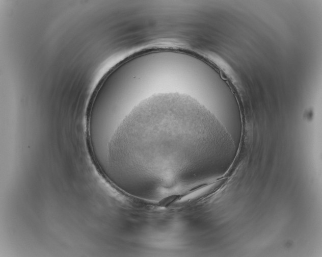X0000090491335200707272332