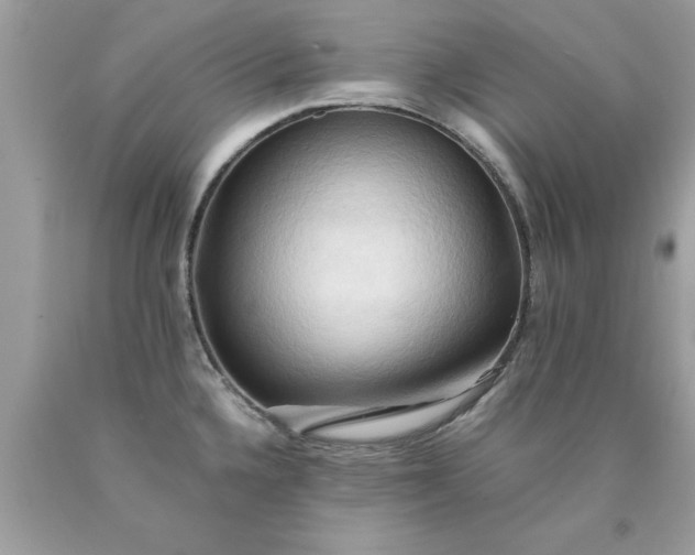 X0000090491336200707272332
