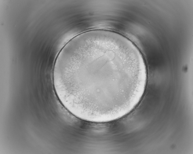 X0000090491338200707272332