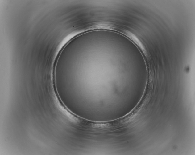 X0000090491339200707272332