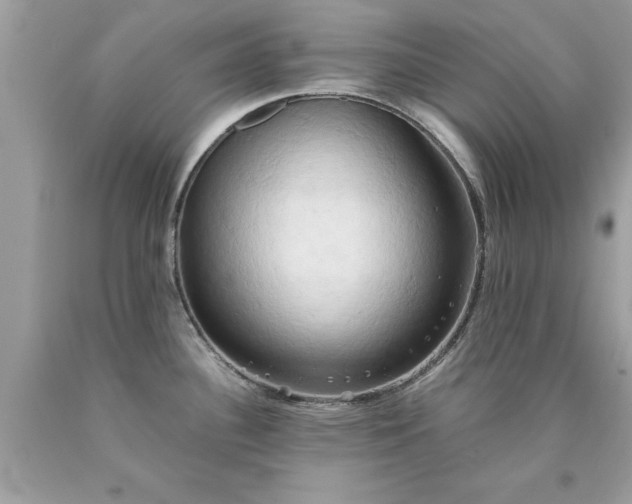 X0000090491340200707272332