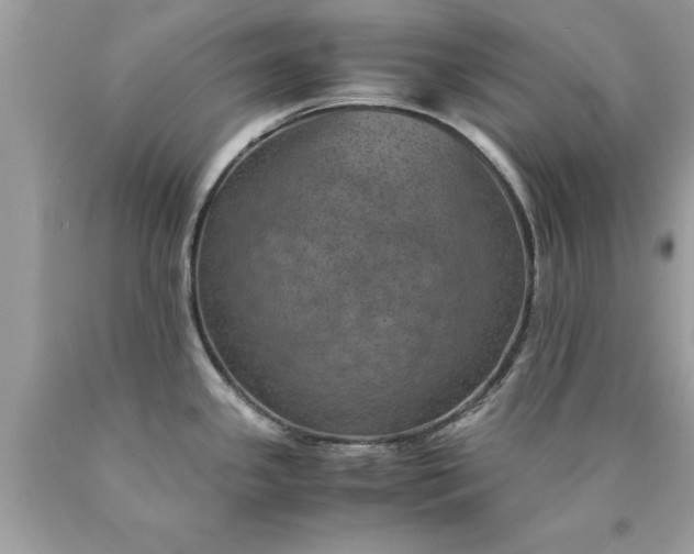 X0000090491341200707272332