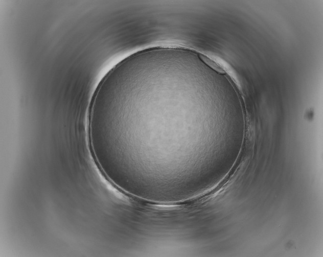 X0000090491343200707272332