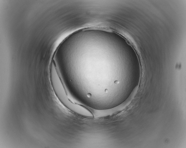 X0000090491344200707272332