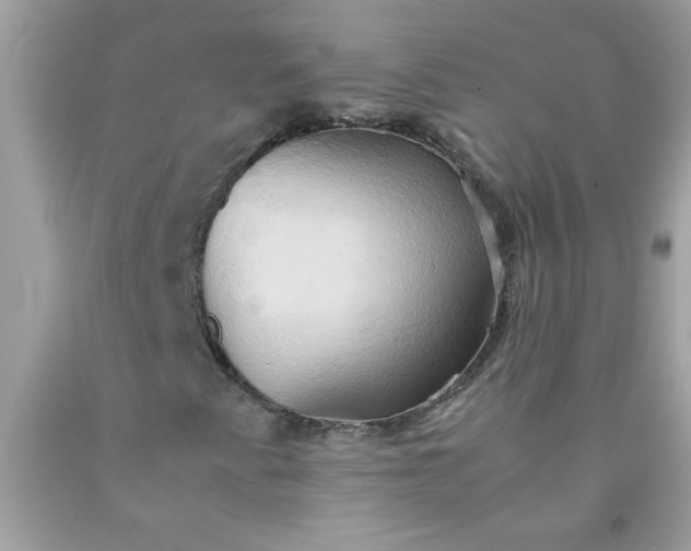 X0000090491345200707272332