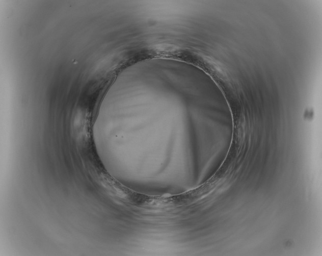 X0000090491346200707272332