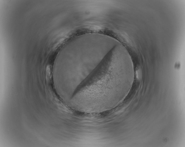 X0000090491347200707272332