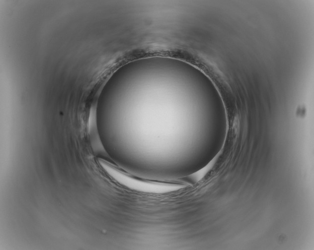 X0000090491348200707272332