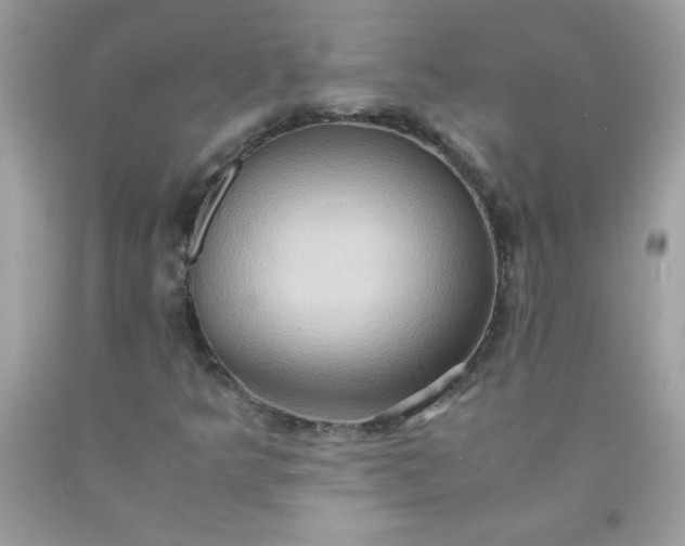 X0000090491349200707272332