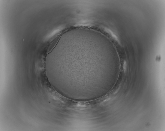 X0000090491350200707272331