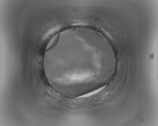 X0000090491351200707272331
