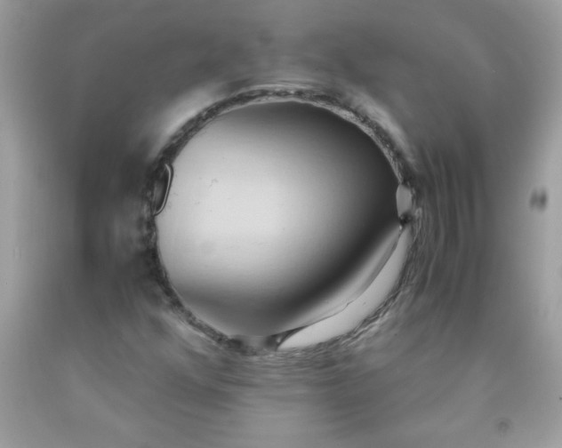 X0000090491352200707272331