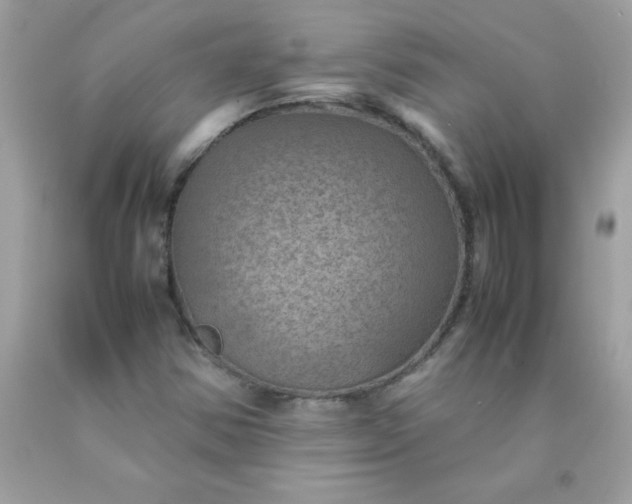 X0000090491354200707272331