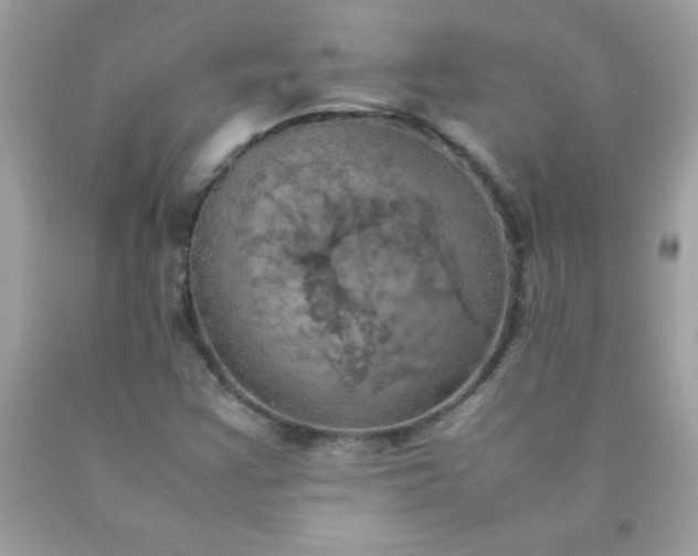 X0000090491355200707272331