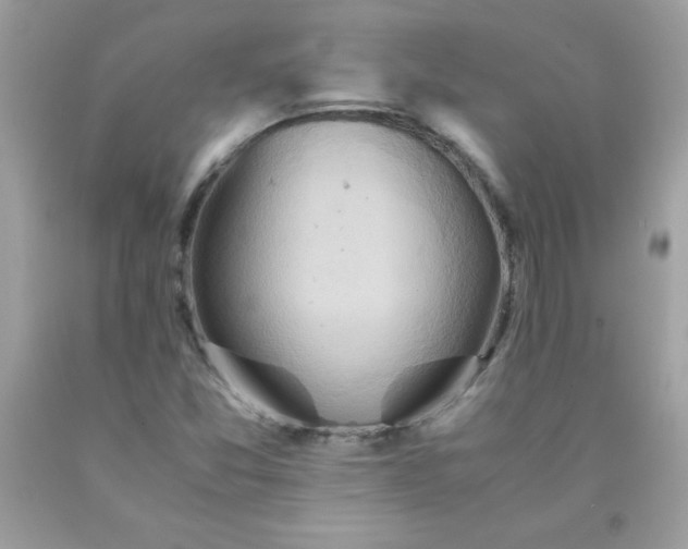 X0000090491357200707272331