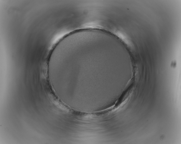 X0000090491358200707272331