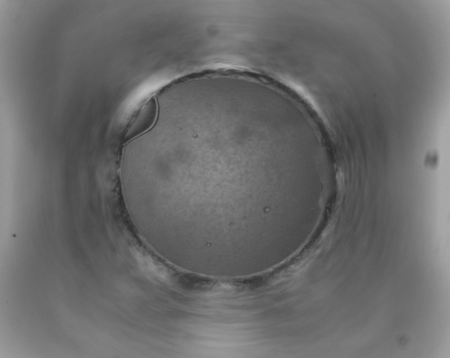 X0000090491359200707272331