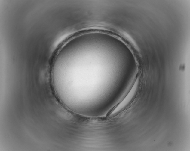X0000090491360200707272331