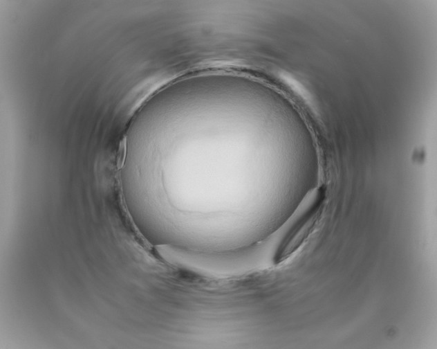 X0000090491361200707272331