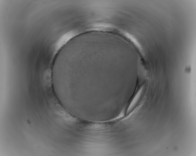 X0000090491362200707272331