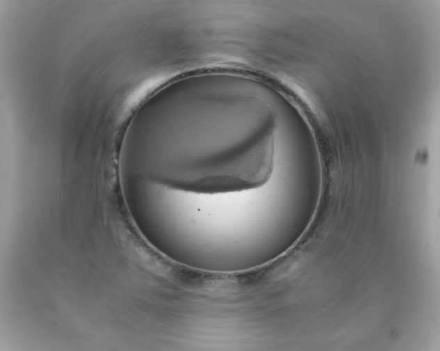 X0000090491363200707272331