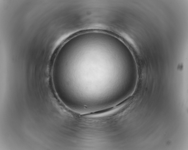 X0000090491364200707272331