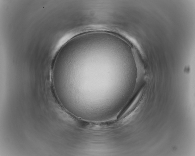 X0000090491365200707272331