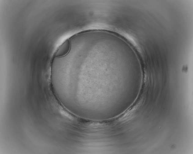 X0000090491366200707272331