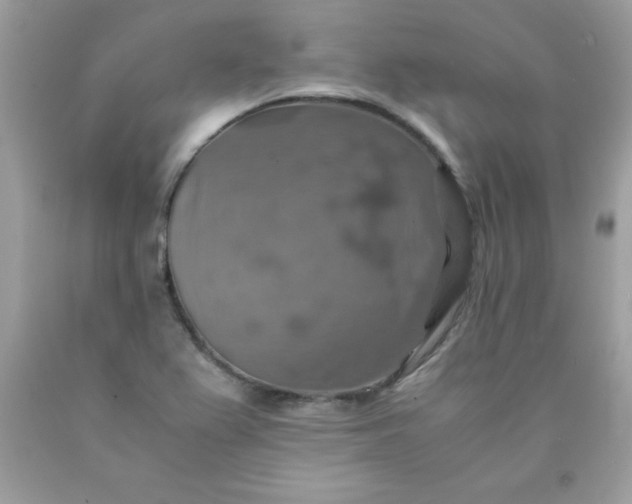 X0000090491367200707272331