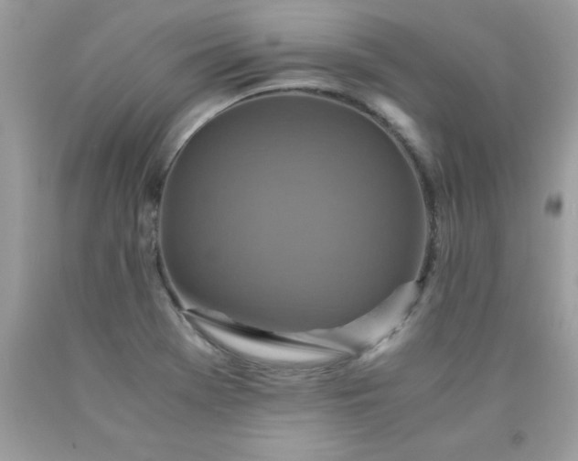 X0000090491369200707272331