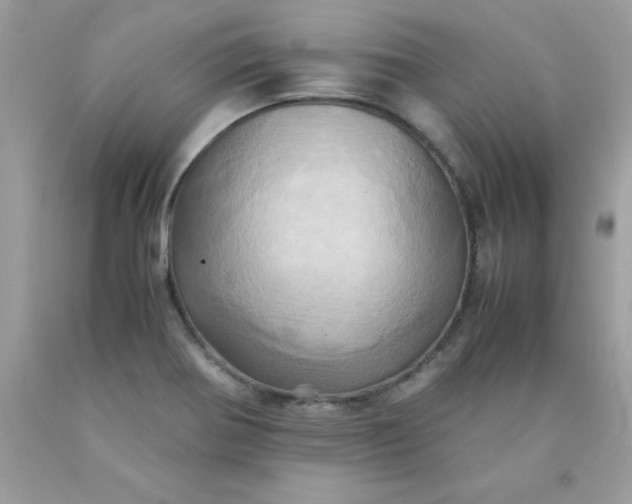 X0000090491370200707272331