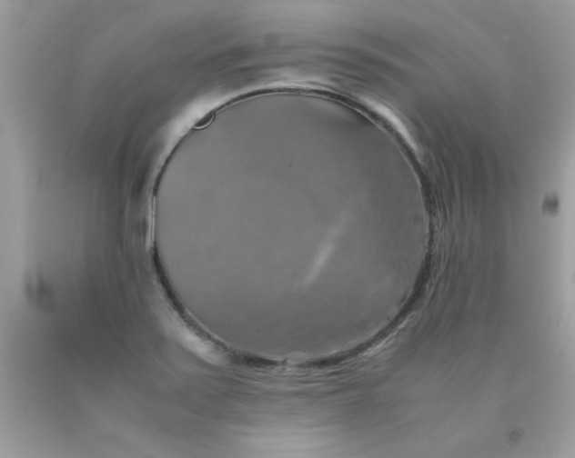 X0000090491371200707272331