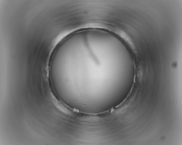 X0000090491372200707272331