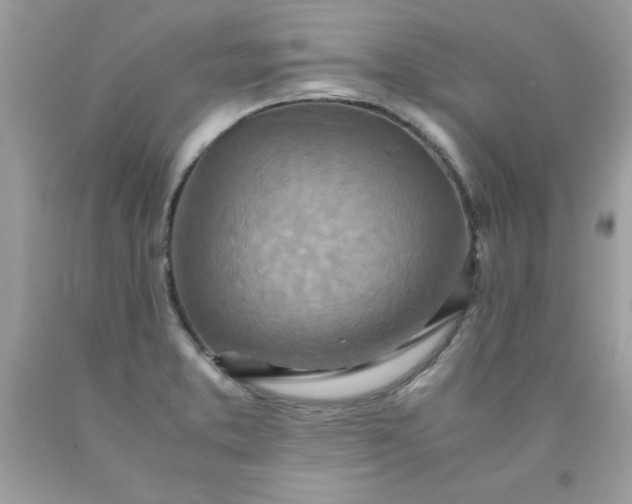 X0000090491373200707272331