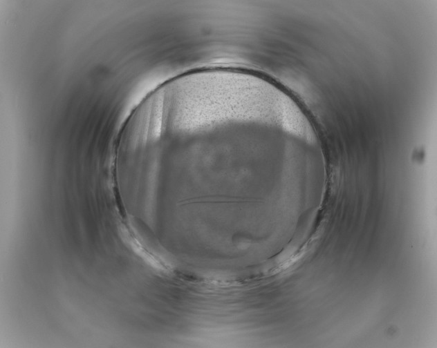 X0000090491374200707272331
